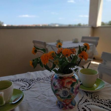 Bed and Breakfast La Casa Dei Fenicotteri Olbia Zewnętrze zdjęcie