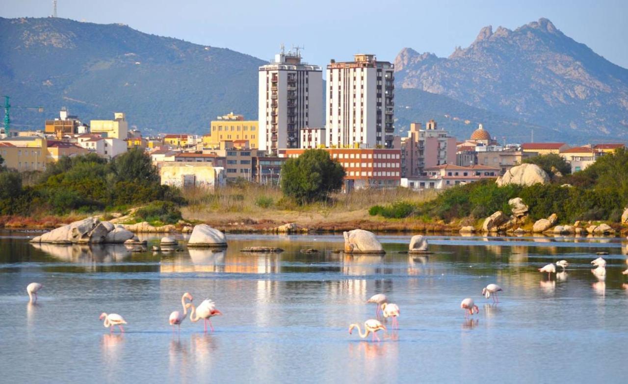 Bed and Breakfast La Casa Dei Fenicotteri Olbia Zewnętrze zdjęcie